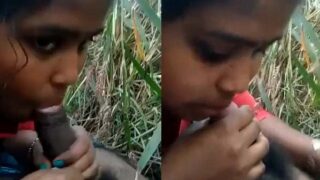 Bihari village girl khet mein blowjob deti hui